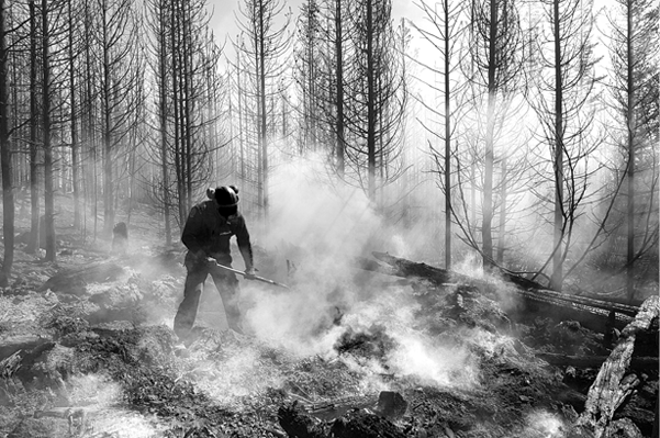 Firefighter tamps out fire in forest.