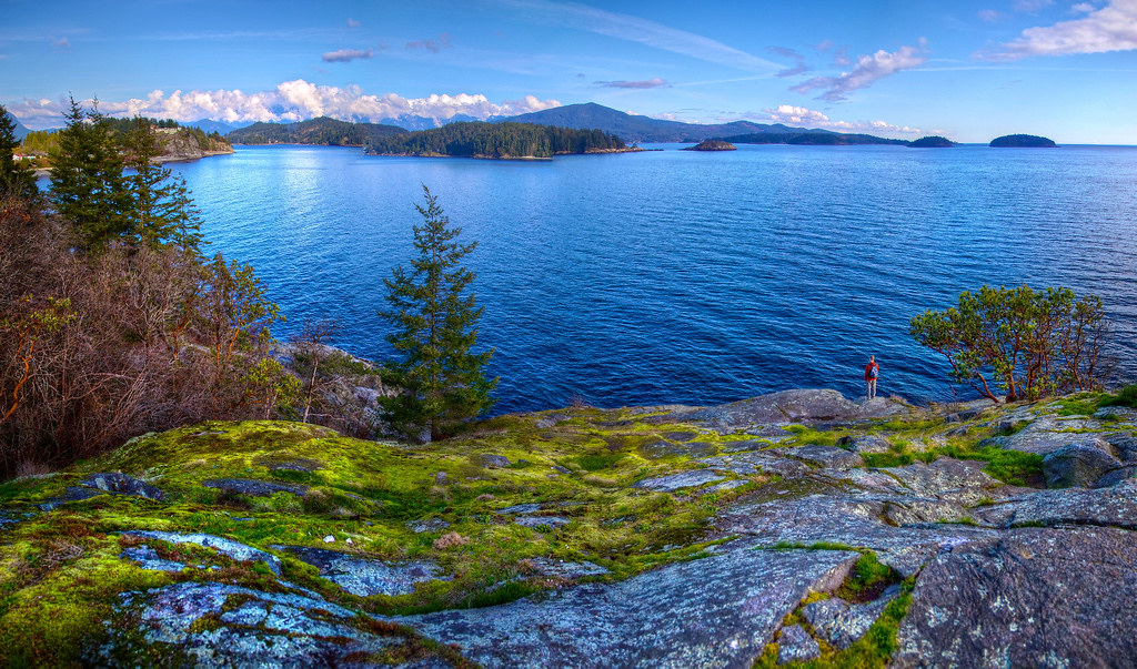 Person stands on the shore overlooking Gibsons Landing, mountains across the water.